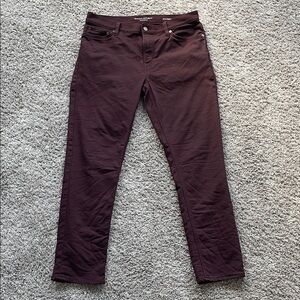 Banana Republic Traveler Pant 2025